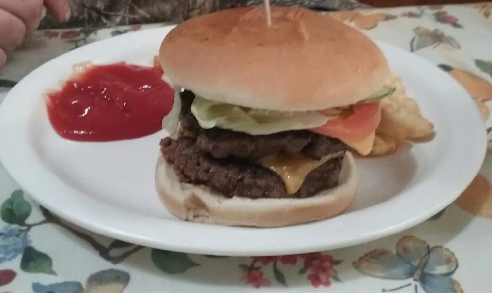 Double Cheeseburger with Slaw and Fries